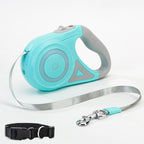 Mint green leash with reflective strap coiled beside it