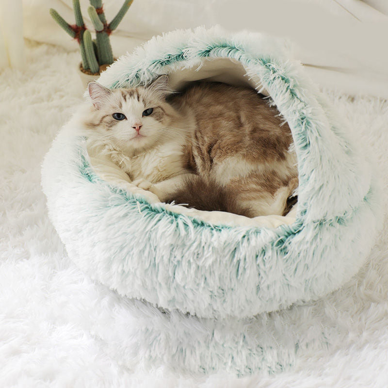 Mint green shell nest with a fluffy cat inside