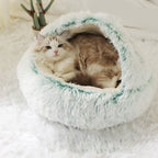 Mint green shell nest with a fluffy cat inside