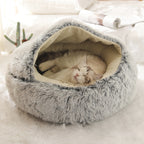Grey shell nest with a kitten curled inside