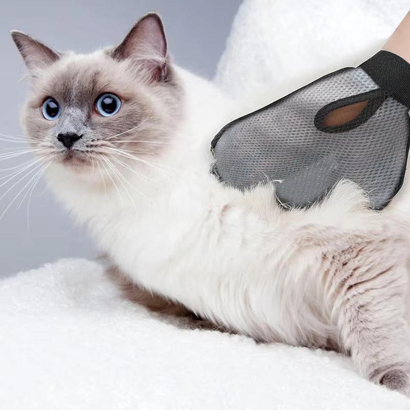Ragdoll cat lying beside the grey grooming glove