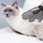 Ragdoll cat lying beside the grey grooming glove