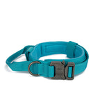 Teal tactical collar with metal buckle and D-ring