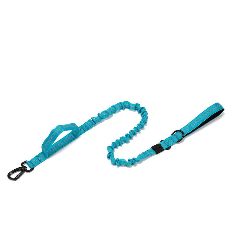 Teal bungee leash with padded handle and metal clip
