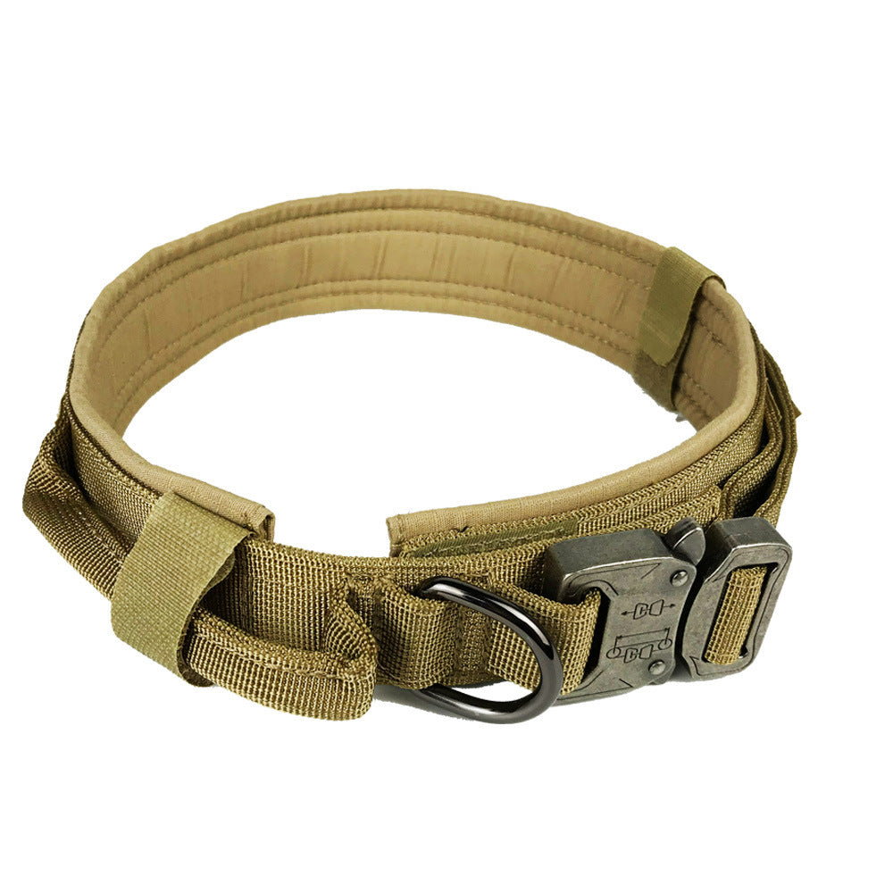 Khaki tactical collar with metal buckle, laid flat
