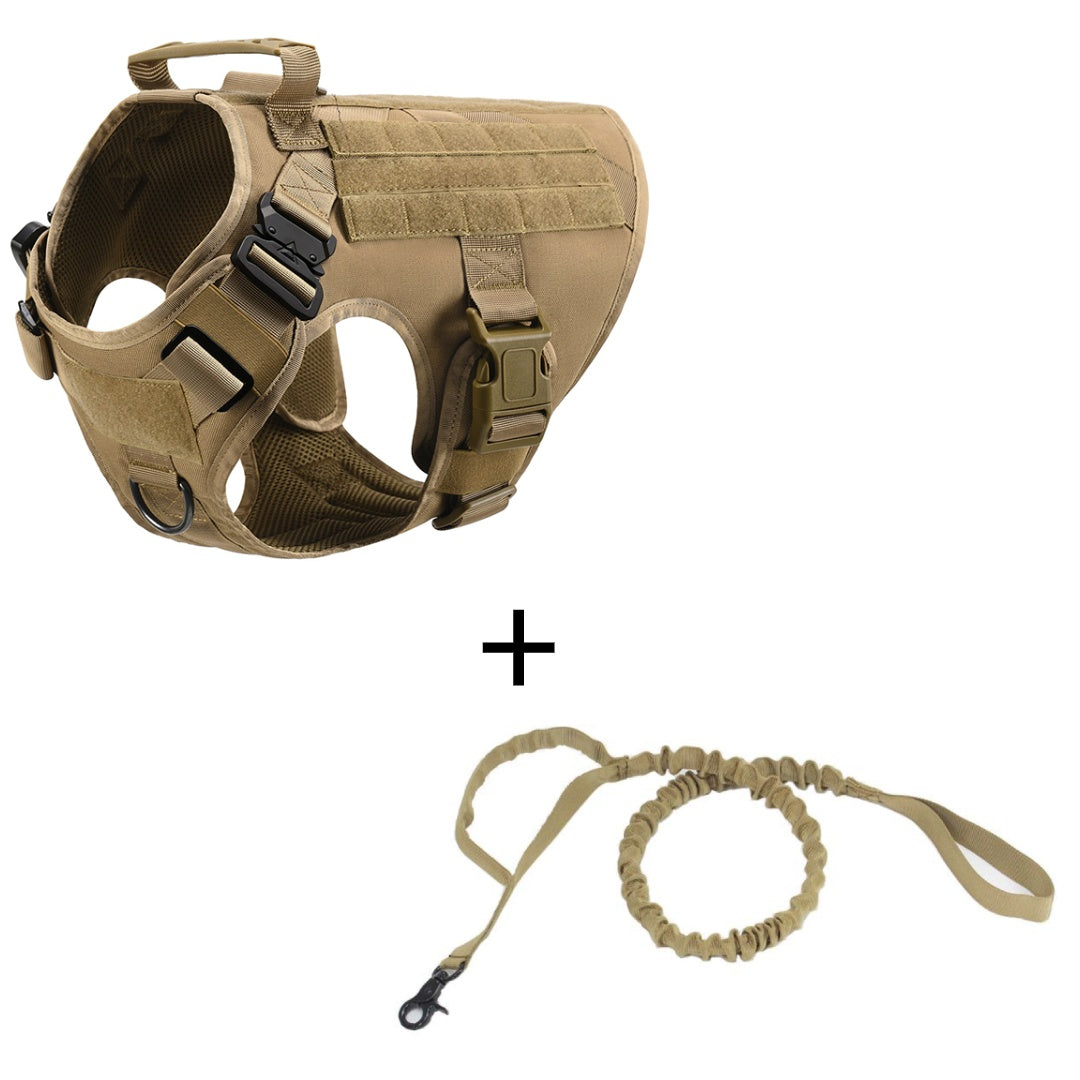 Khaki vest shown beside a khaki bungee leash