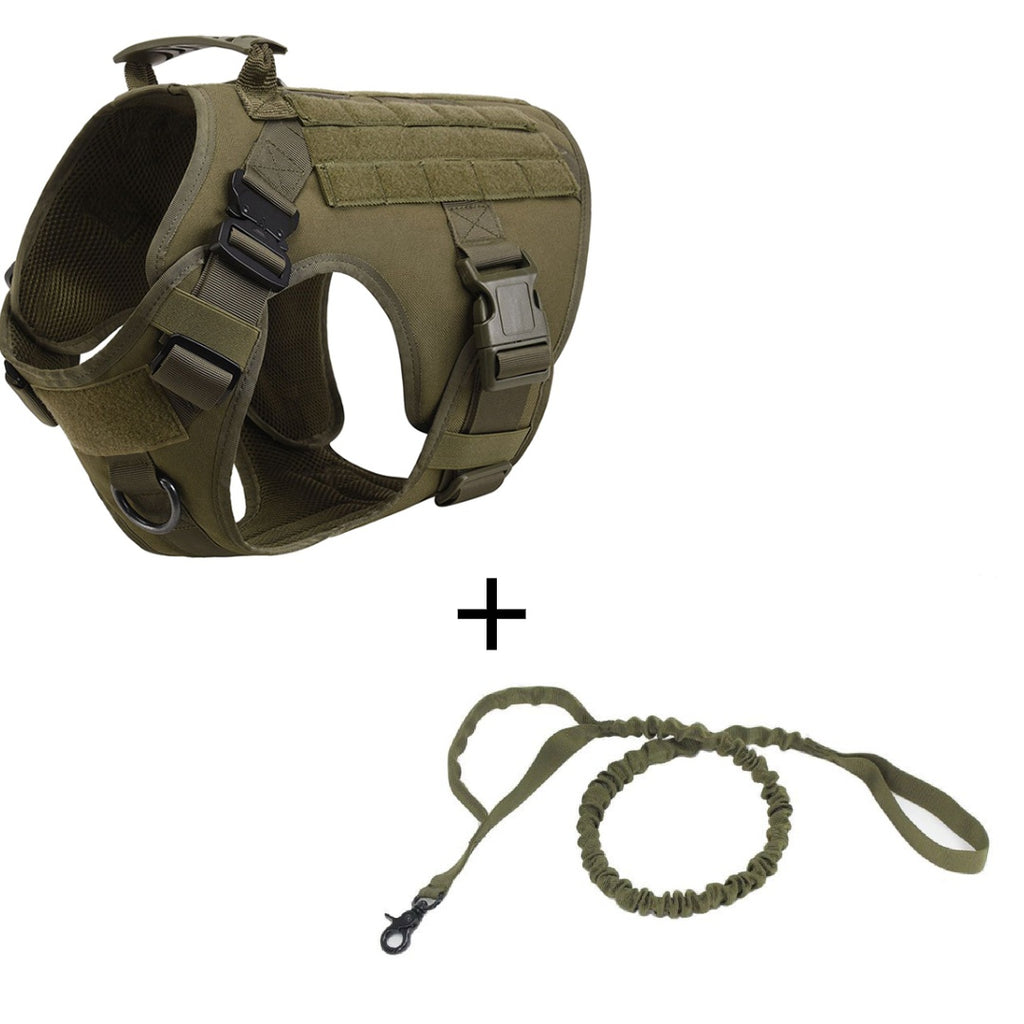 Olive vest shown beside an olive bungee leash