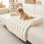 Poodle on the cream mat spread across a white sofa