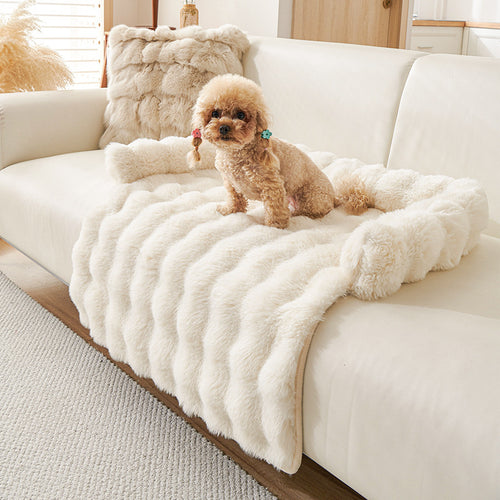 Poodle on the cream mat spread across a white sofa