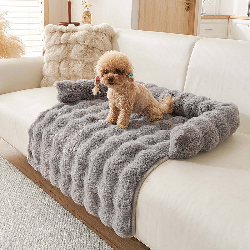 Poodle on the grey mat spread across a white sofa