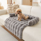 Poodle on the grey mat spread across a white sofa