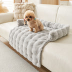 Poodle on the light grey mat draped over a sofa