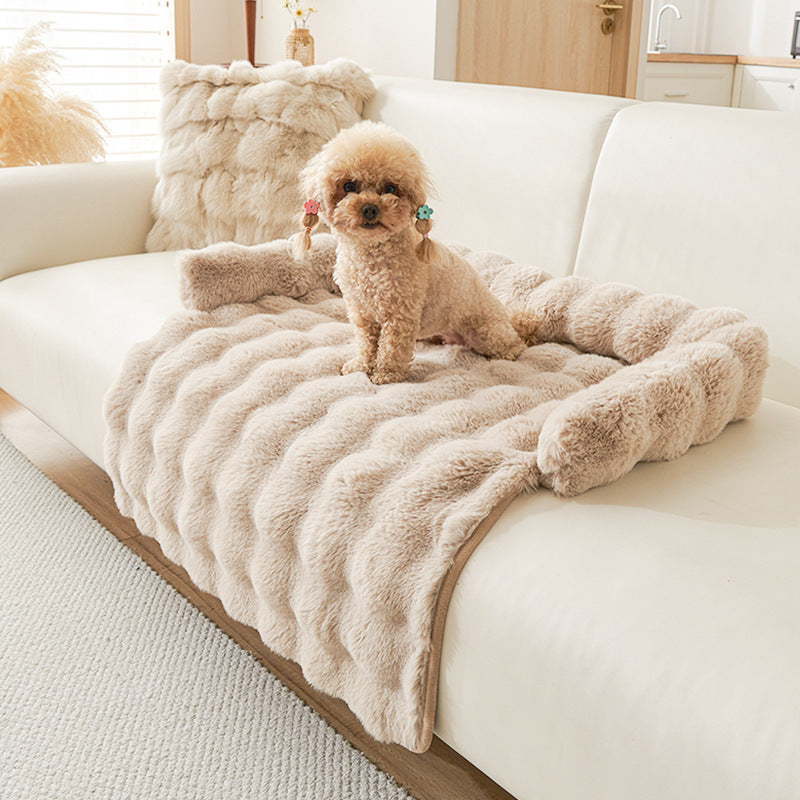 Poodle on the cream mat draped across a sofa arm