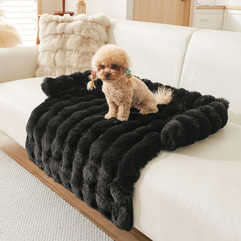 Poodle on the black mat spread across a white sofa