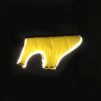 Yellow jacket photographed in the dark, reflective trim glowing