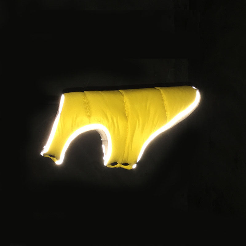 Yellow jacket photographed in the dark, reflective trim glowing