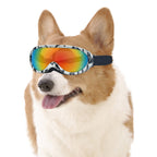 Corgi wearing the patterned goggles, front view